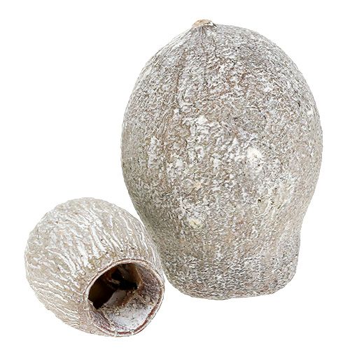 Itens Bellgums caiados 2cm - 5cm 500g