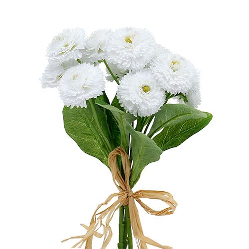 Floristik24 Buquê Bellis branco 24 cm 3 unidades