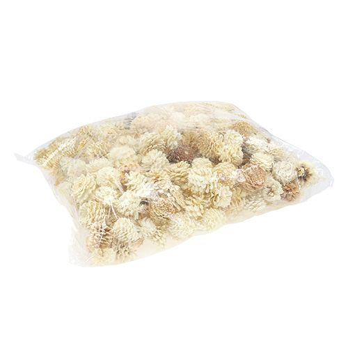 Floristik24 Pinhas de montanha pequenas branqueadas 3.5-5cm 1kg
