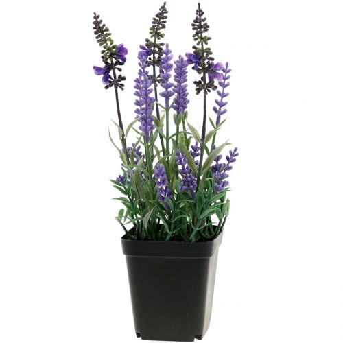 Floristik24 Lavanda artificial em uma panela H25cm