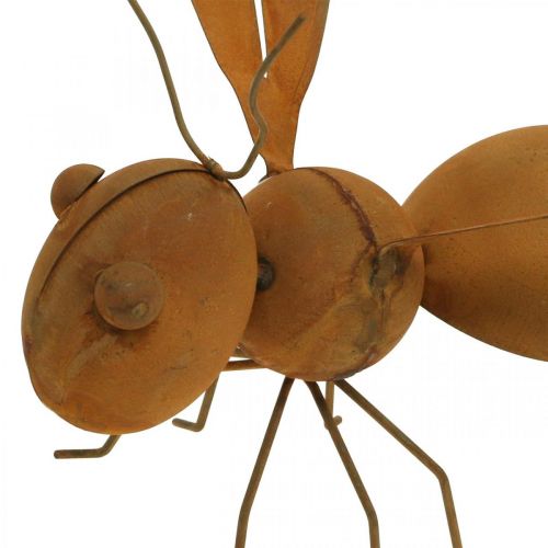 Floristik24 Figura decorativa abelha, inseto de metal, decoração de jardim com pátina L20cm H19cm