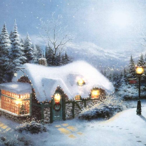 Floristik24 Paisagem de inverno mural de LED com casa 38×28cm Para bateria