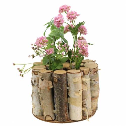 Floristik24 Frasco de bétula com tubos de ensaio naturais Ø17cm Alt.13cm