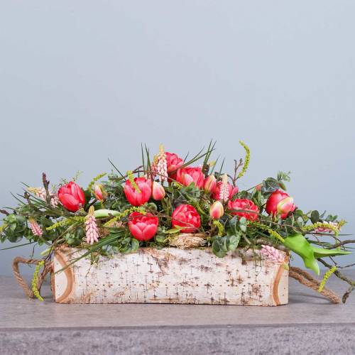 Floristik24 Caixa de plantas de bétula com alças de corda 38x16cm H9cm