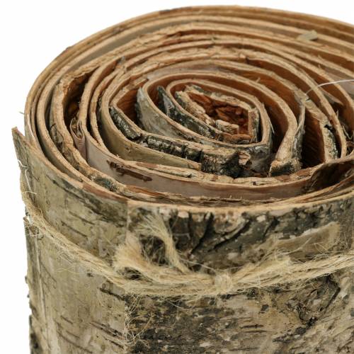 Floristik24 Fita de casca de bétula natural L2m L10cm