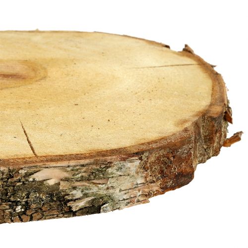 Floristik24 Fatia de bétula natural Ø30cm - 35cm