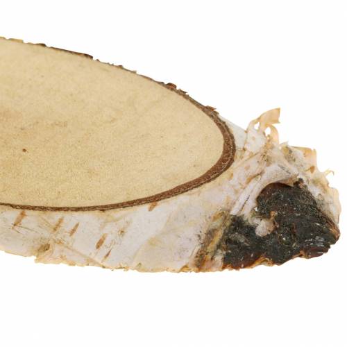 Floristik24 Fatias de bétula oval natural 4×8cm 1kg para decoração