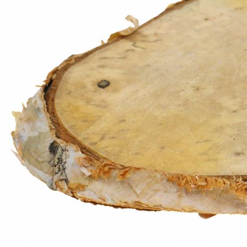 Floristik24 Discos de madeira vidoeiro oval natural 7,5 × 13cm 1kg