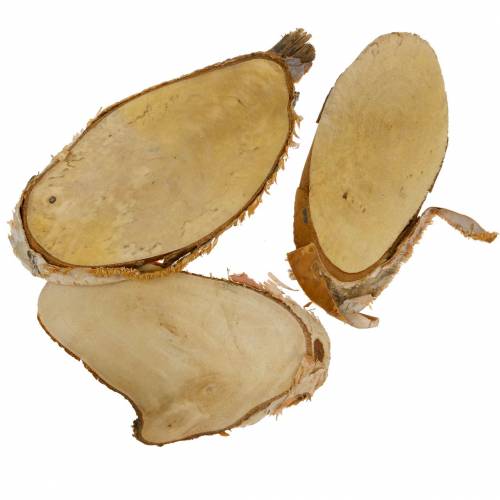 Floristik24 Discos de madeira vidoeiro oval natural 7,5 × 13cm 1kg