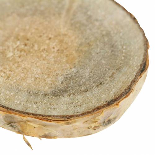 Floristik24 Fatias de bétula redonda natural 5cm 1kg para decoração com casca