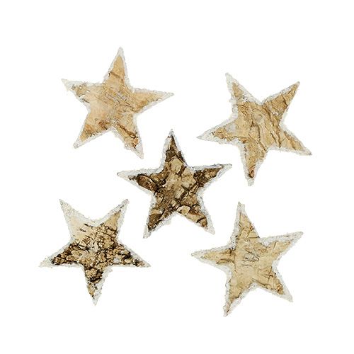 Floristik24 Estrelas de bétula nevadas 4cm natureza 60p