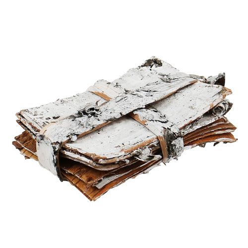 Floristik24 Tiras de bétula 8cm x 11,5cm 8 peças