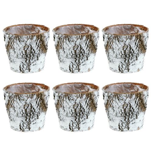 Itens Vaso de bétula pequeno plantador de bétula branca Ø10cm Alt.8,5cm 6 unid.