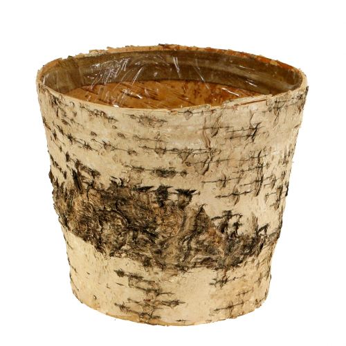 Vaso de bétula Ø15cm A13cm