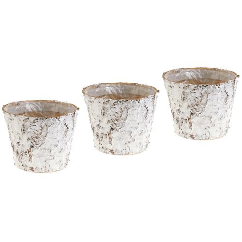 Floristik24 Vaso com casca de bétula branqueada Ø15cm Alt.12,5cm 3 unid.