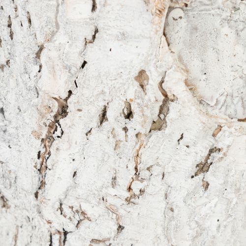 Itens Vaso para plantas com aparência de casca de árvore, ideal para decoração de interiores rústica e arranjos de plantas, 12 cm, conjunto com 4 peças.