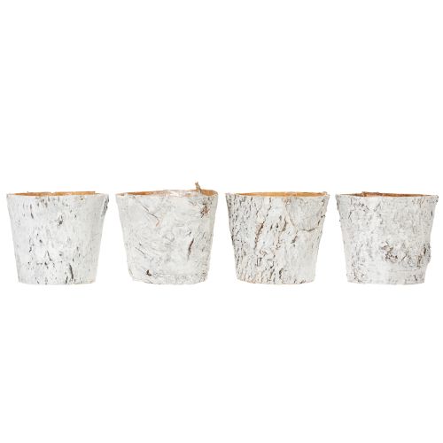 Itens Vaso de bétula, tamanho médio, vaso para plantas, bétula, branco, Ø12cm, A10,5cm, 4 peças