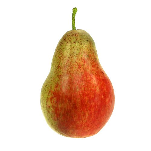 Floristik24 Vermelho pêra, verde 11 cm - 12 cm 3 unidades