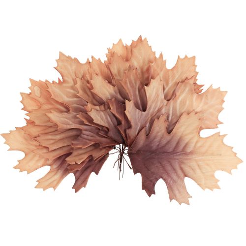 Floristik24 Folhas de outono de carvalho vermelho folhas deco folhas deco 13×19cm 12uds