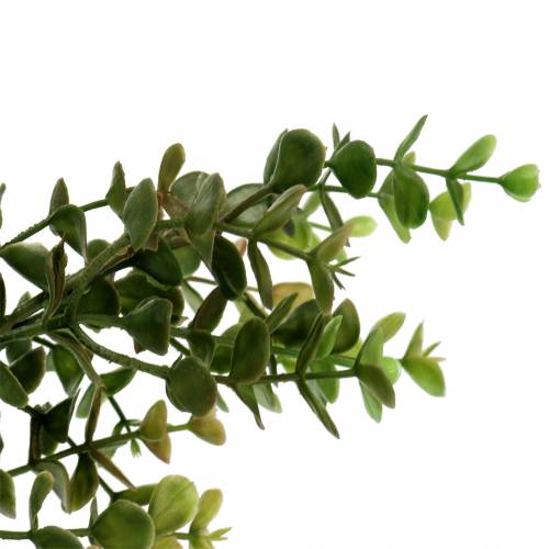 Floristik24 Ramo decorativo de buxo verde 40cm