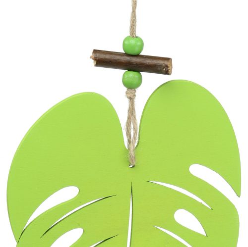 Floristik24 Folha de decoração de janela para pendurar verde claro 14,5cm