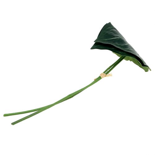 Floristik24 Folha de caládio 32cm 2pcs
