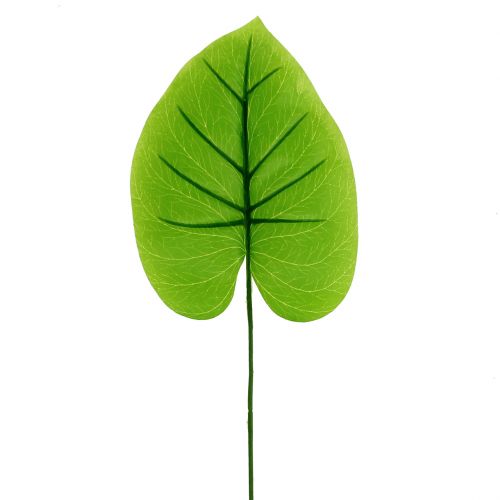 Floristik24 Folha decorativa Funkie, Hosta 40cm 5 unidades