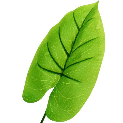 Floristik24 Folha decorativa Funkie, Hosta 40cm 5 unidades