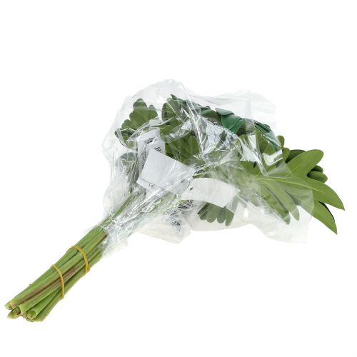 Itens Folha Filodendro 31cm Verde 12 pcs