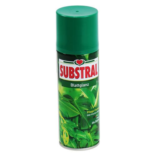 Floristik24 Folha gloss 200ml