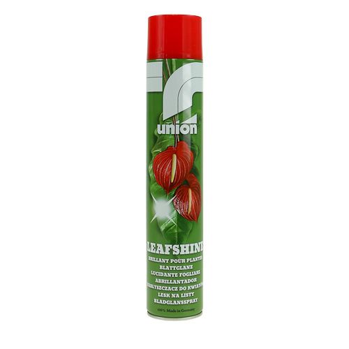 Floristik24 Folha gloss spray 400ml