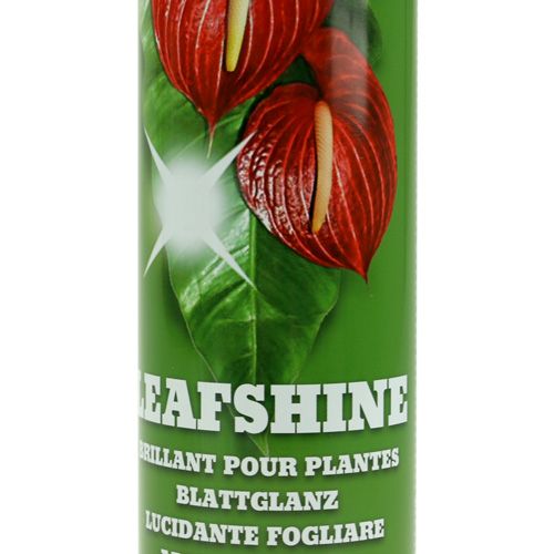 Floristik24 Folha gloss spray 400ml