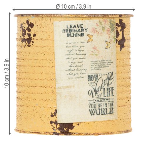 Itens Lata decorativa de metal cor damasco, vaso para plantas, Ø11cm A10,5cm