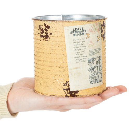 Lata decorativa de metal cor damasco, vaso para plantas, Ø11cm A10,5cm | Floristik24.pt