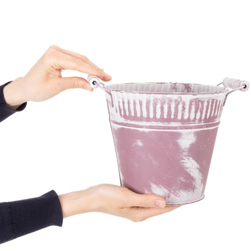 Balde de lata, pintado de roxo e branco, Ø19cm A17cm, 1 unidade. | Floristik24.pt