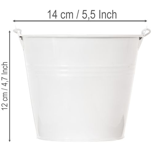 Baldes de lata branca Ø14cm A12cm, 6 unidades | Floristik24.pt