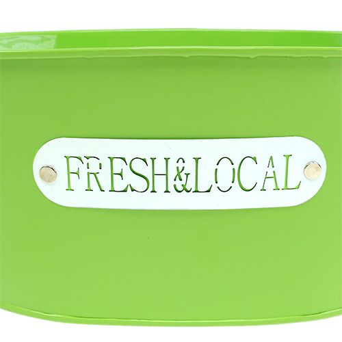 Floristik24 Tigela de lata oval verde 22cm x 15cm A10cm