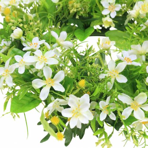 Floristik24 Coroa de anêmona/endro verde, branco Ø30cm