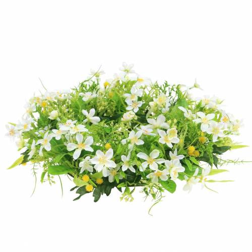 Floristik24 Coroa de anêmona/endro verde, branco Ø30cm