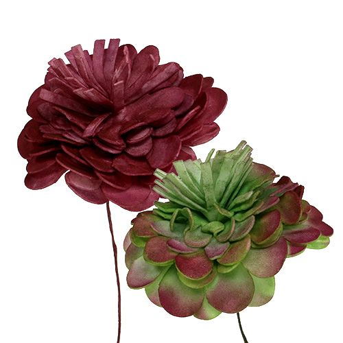 Floristik24 Flor feita de espuma 7cm verde / bordeaux 12pcs