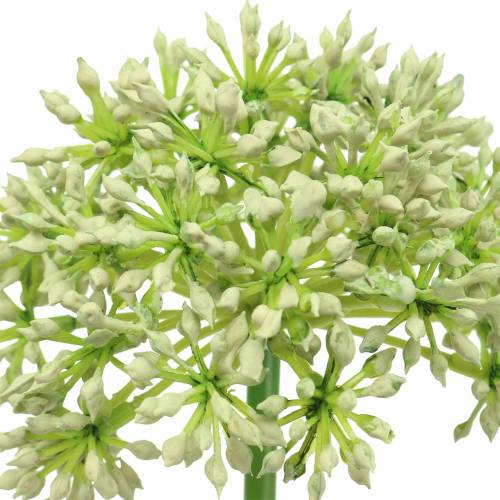 Itens Allium branco artificial 55cm