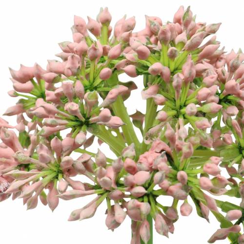 Itens Allium rosa artificial 55cm