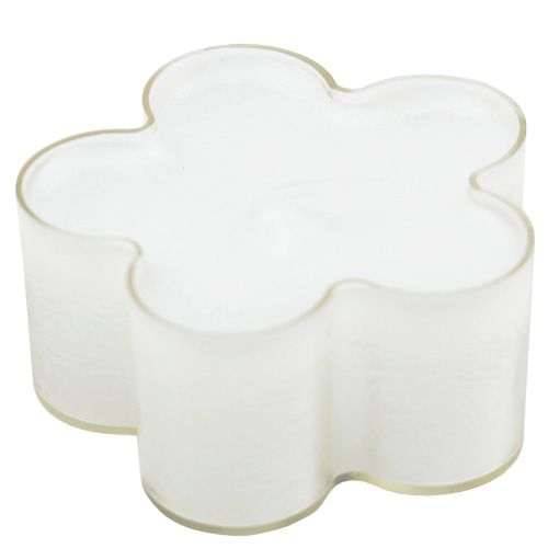 Floristik24 Flor branca clara 12pcs