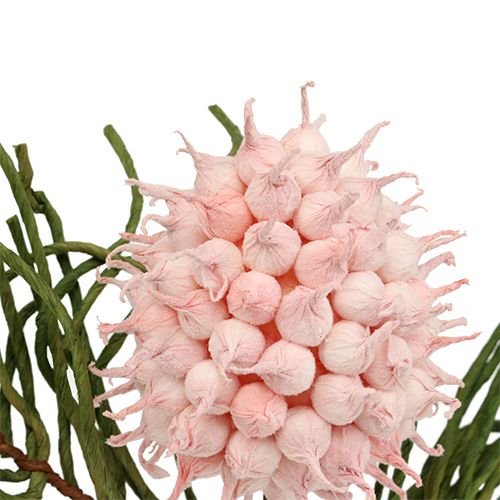 Itens Blossom branch Foam Rosa/Verde 65cm