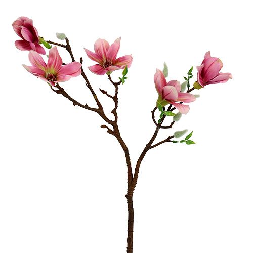 Floristik24 Magnolia mini rosa, rosa C53cm 3 unidades