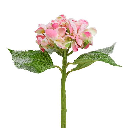 Hortênsia rosa com neve 33 cm 4 unidades
