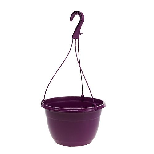 Itens Cesto suspenso 25cm roxo