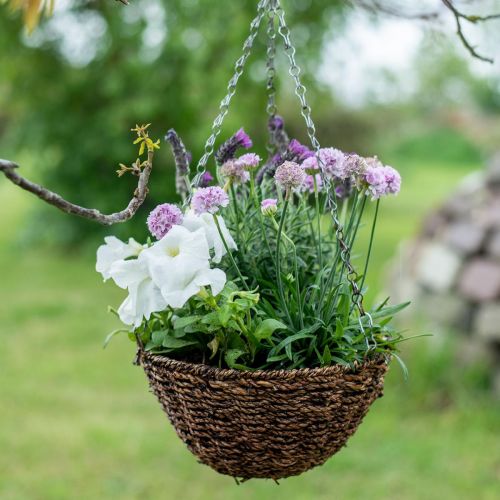 Floristik24 Cesta de flores cesta suspensa marrom cesta suspensa cesta de plantas Ø25cm
