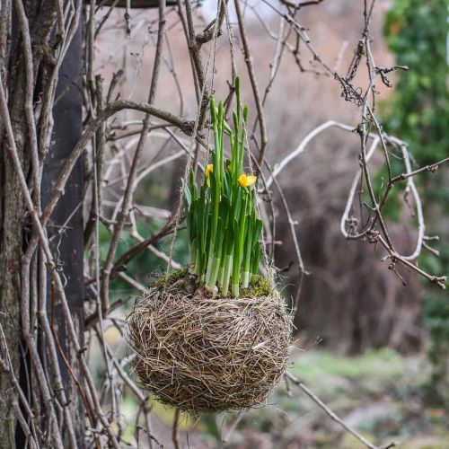 Floristik24 Blumenampel Heu Natur Cesto de plantas para pendurar Vaso suspenso Ø20cm