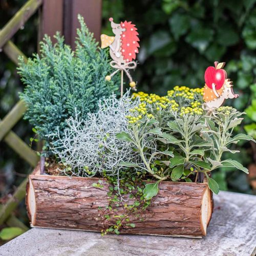 Floristik24 Caixa de flores, caixa de madeira com casca, vaso de plantas com alças 38cm